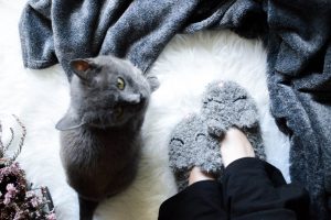 Flauschige Katzenslipper selbst gehäkelt- aus Flauschwolle